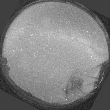 SkyCam image