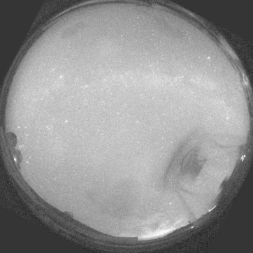 SkyCam image