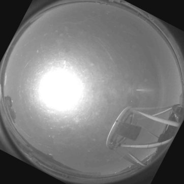 SkyCam image