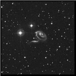Image: Digitized Sky Survey