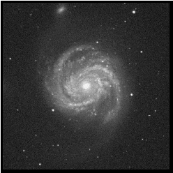 Image: Digitized Sky Survey