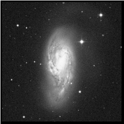 Image: Digitized Sky Survey