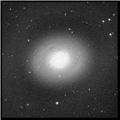 Image: Digitized Sky Survey