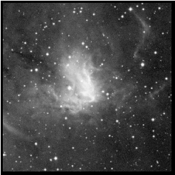 Image: Digitized Sky Survey