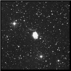 Image: Digitized Sky Survey