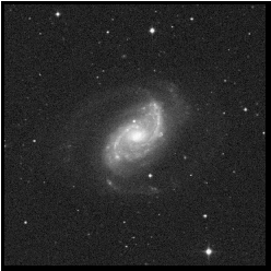 Image: Digitized Sky Survey