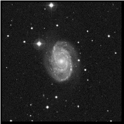 Image: Digitized Sky Survey