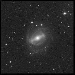 Image: Digitized Sky Survey