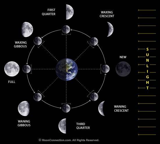 Lunar cycle