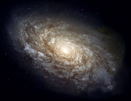 The spiral galaxy M100