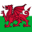Link to Welsh version of activity.
