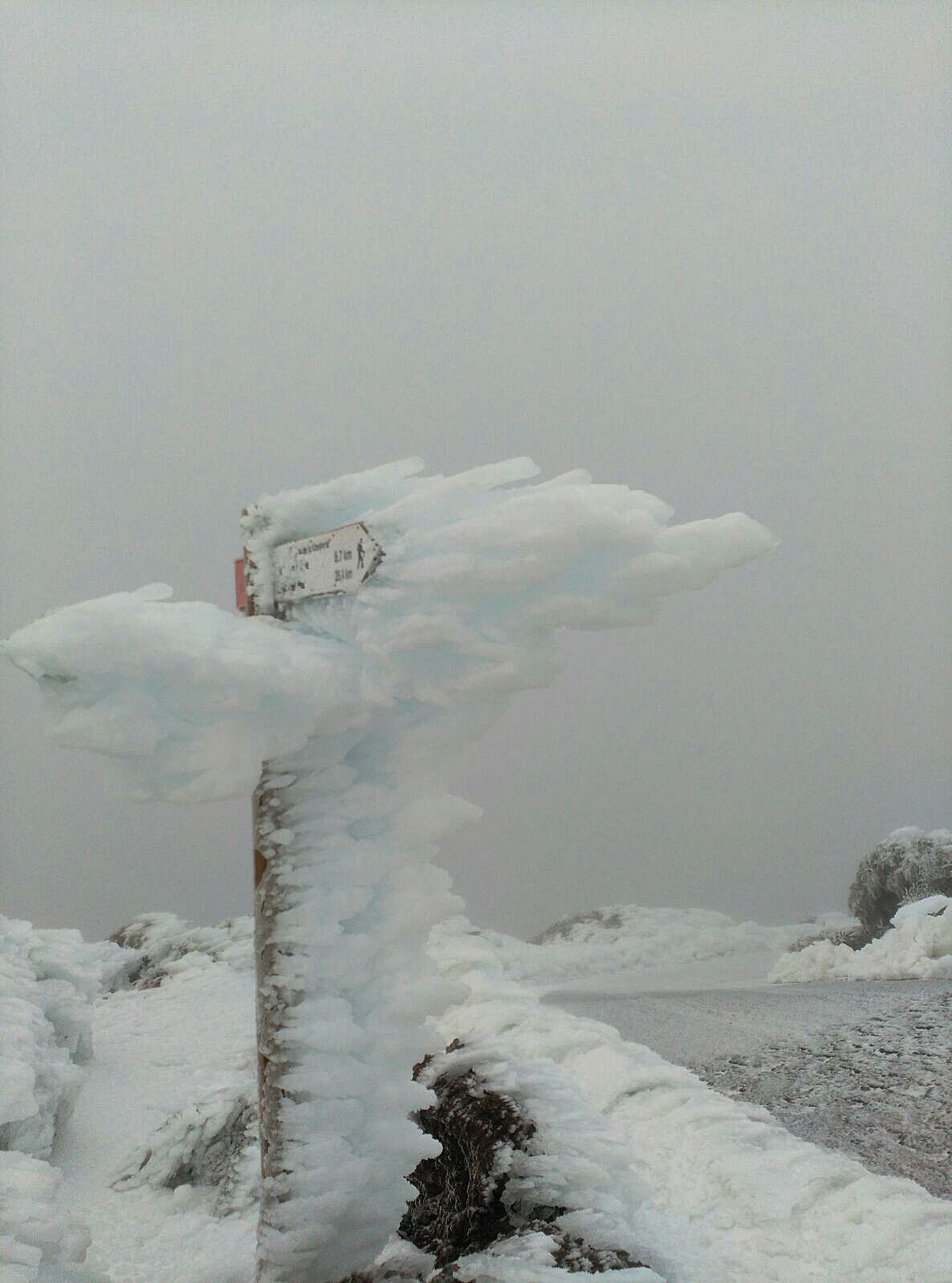 Road sign covered in ice