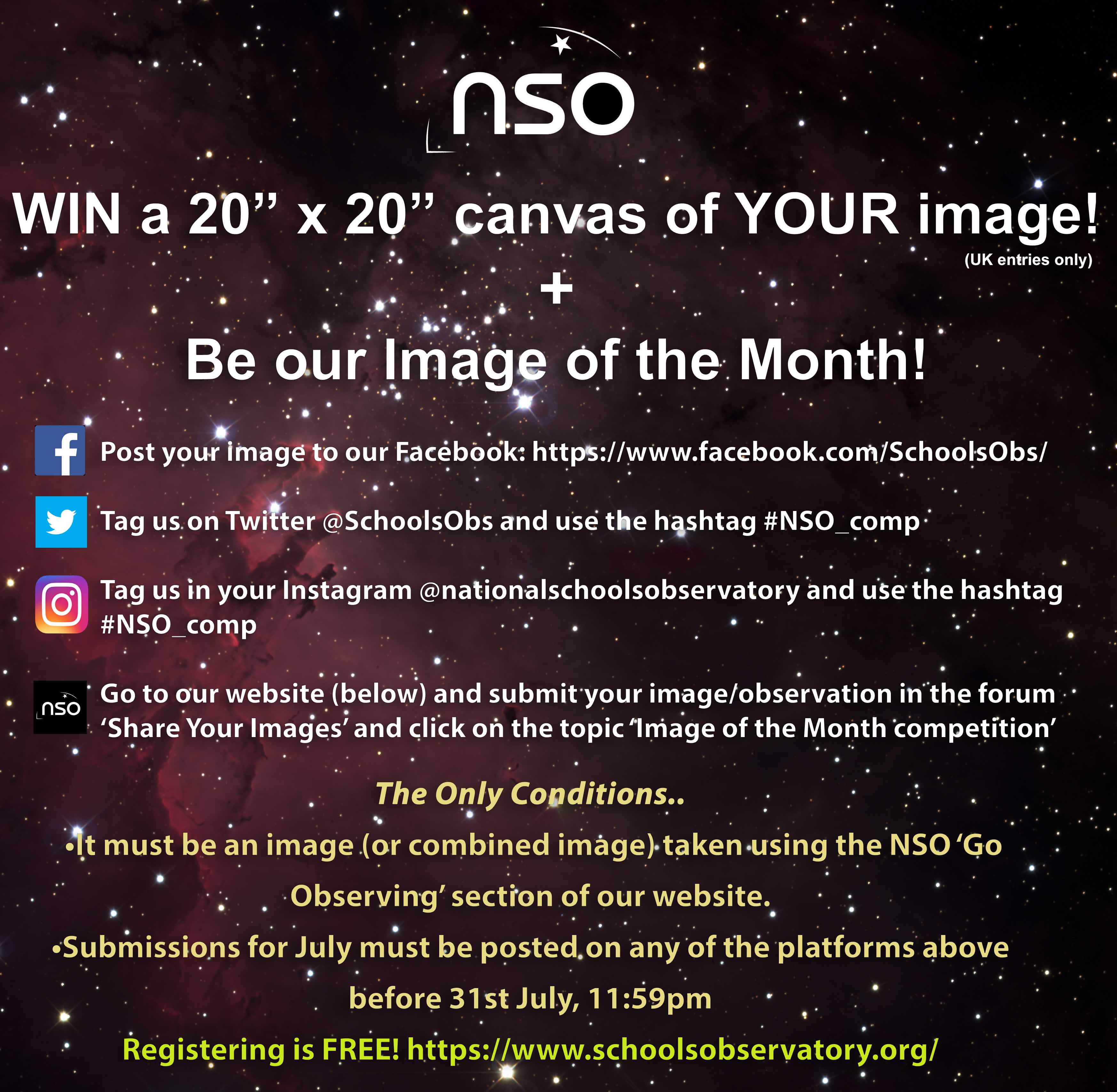 Image of the Month Competition