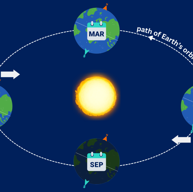 A diagram of the position of the Earth at different points in its orbit around the Sun that create the four seasons.