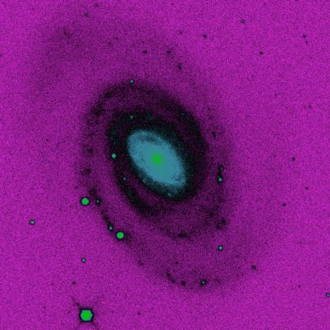 A false-colour purple and black image of a spiral galaxy