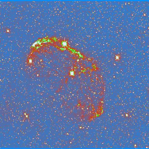 A false-colour red, yellow and dark blue image of a supernova remnant