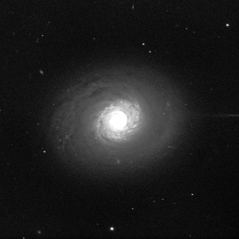A spiral galaxy against a black background with some white dots of stars randomly placed throughout. The middle of the galaxy glows as a bright white sphere. Cloud-like swirls of light grey dust wrap around the sphere, and a faint slightly darker grey fuzziness extends outwards and forms an oval shape around the galaxy.