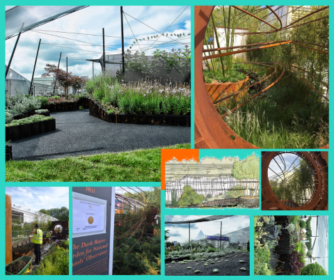 Collage of pictures from the gardens project 