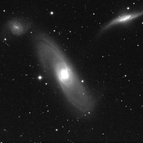 An image of three galaxies against a black background with white dots of stars. The galaxy in the centre is the biggest, with a bright spherical middle surrounded by a cloudy grey that stretches diagonally. Some dusty spiral arms can just be discerned. The galaxy in the upper right is similar, just smaller and stretched sideways instead. The galaxy in the upper left is much fainter and resembles a fuzzy grey circle with only a small white dot at its centre. 
