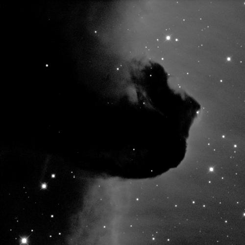 An image of a cloudy nebula with some small white stars of stars. The image almost appears split in two vertically, with the left-hand side being almost black in colour and the right-hand side being different shades of grey. In the middle, a patch of dark cloud rises sideways out of the darker left-hand side of the nebula. This cloud resembles a horse's head.
