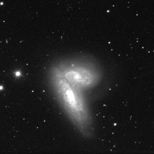Two galaxies against a black background with white dots of stars in various sizes. The galaxies are in the middle of the image and  have bright centers and grey dusty arms that spiral around them. They are merging together, forming an almost heart shape that is tilted on its side.