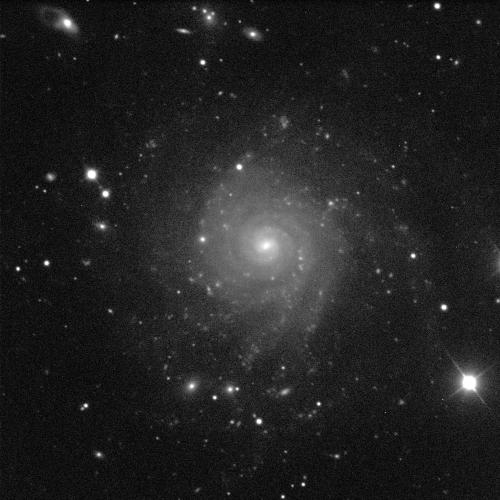A spiral galaxy angled face-on against a black background with white dots of stars. The galaxy has a small, circular, bright, white centre and dusty grey spiral arms sweeping around it. A large, white star shines brightly in the lower right of the image.