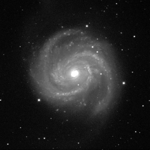 A spiral galaxy angled face-on against a black background with white dots of stars. The galaxy has a small, circular, bright, white centre and dusty grey spiral arms sweeping around it.