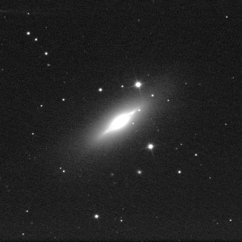 A galaxy against a black background with white dots of stars. The galaxy is the centre of the image. It is a small, stretched oval-shape with what resembles a thin ring around it. The galaxy shines a very bright white.