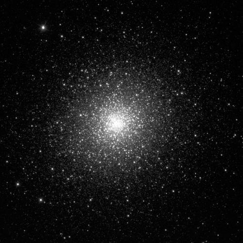 Lots of stars against a black background. Each star is a white dot of varying sizes. Though some are scattered around the edges of the image, most are concentrated in the centre which glows brightly as a result.
