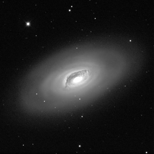 A spiral galaxy, viewed from above, against a black background with a few dots of white stars. The galaxy resembles a disc, the centre shining a bright white. A thick, grey band of dust encircles the middle. The cloud-like structure extends outwards, though becomes thinner and more diffuse.