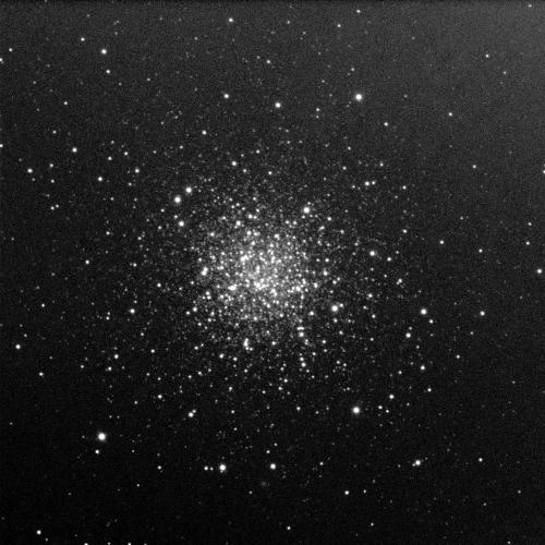 Lots of stars against a black background. Each star is a white dot of varying sizes. Though some are scattered around the edges of the image, most are concentrated in the centre which glows brightly as a result.