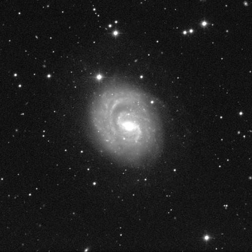 A small spiral galaxy angled face-on against a black background with white dots of stars. The galaxy has a small, circular, bright, white centre and dusty grey spiral arms sweeping in a clockwise direction around it.