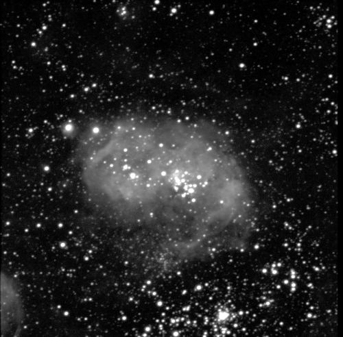 A grey nebula against a black background with lots of white dots of stars in various sizes throughout. The cloud-like nebula is lighter grey towards the middle and darker grey around the edges. Its shape is an elongated, bean-like structure.