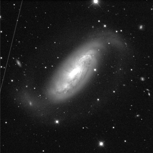 A spiral galaxy, angled slightly away, against a black background with white dots of stars. The spherical centre of the galaxy glows brightly and is surrounded by fuzzy grey clouds of dusts that spiral and wrap around it. There are some darker, dustier thin lines within the grey cloud-like area.