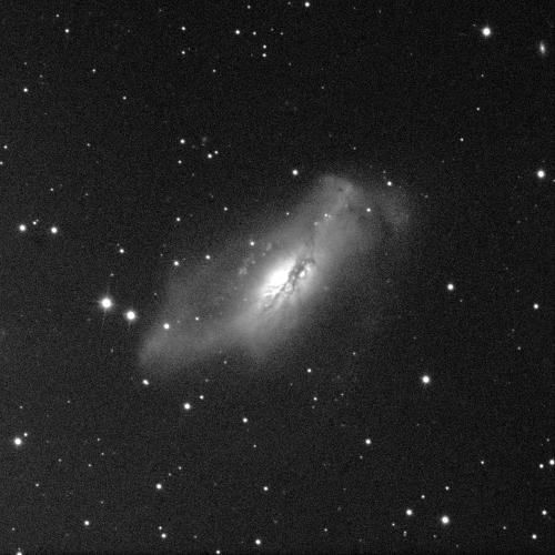 A spiral galaxy against a black background with white dots of stars scattered throughout. The spherical centre of the galaxy glows brightly, though is obscured by fuzzy grey clouds of dusts that spiral and wrap around it. A prominent, dark dusty lane loops at angle across the front of the galaxy's core.