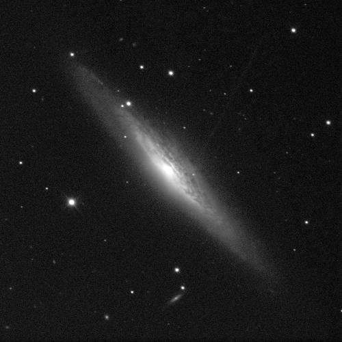 A spiral galaxy, positioned edge-on, against a black background with white dots of stars in various sizes. The centre of the galaxy shines bright white, but it obscured by a band of dust that wraps around it. The band is various shades of grey.
