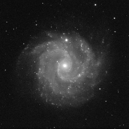 A spiral galaxy angled face-on against a black background with white dots of stars. The galaxy has a small, circular, bright, white centre and dusty grey spiral arms sweeping around it.
