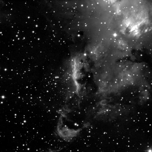 A grey, cloudy nebula against a black background with small dots of white stars. The nebula covers an area on the image right, mostly in the top right but also down towards the middle of the image. In the top right is a small, bright, white patchy area with the cloud around being shades of light grey. The nebula is darker grey towards the bottom of the image.