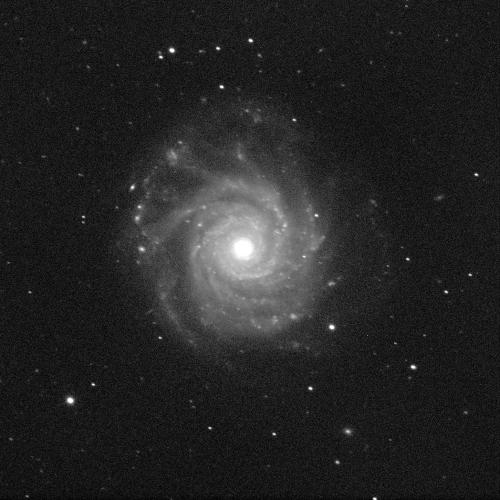 A spiral galaxy angled face-on against a black background with white dots of stars. The galaxy has a small, circular, bright, white centre and dusty grey spiral arms sweeping around it.