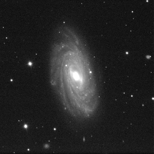 A spiral galaxy angled face-on against a black background with white dots of stars. The galaxy has a small, circular, bright, white centre and dusty grey spiral arms sweeping around it.