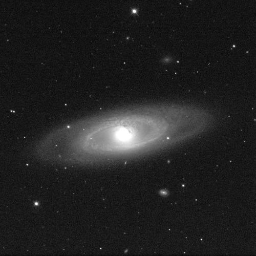 A spiral galaxy, viewed from above, against a black background with a few dots of white stars. The galaxy resembles a disc, the centre shining a bright white. A thick, grey band of dust encircles the middle. The cloud-like structure extends outwards, though becomes thinner and more diffuse.