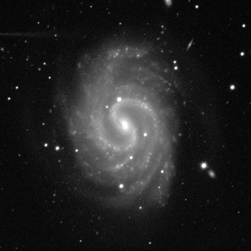 A spiral galaxy angled face-on against a black background with white dots of stars. The galaxy has a small, circular, bright, white centre and dusty grey spiral arms sweeping around it.