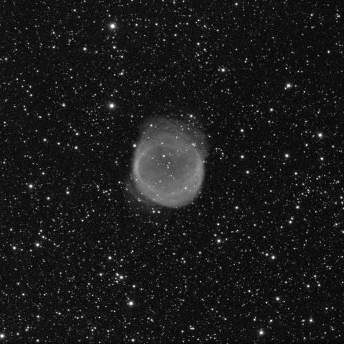 A spherical nebula against a black background with some small white dots of stars. The nebula is cloud-like, grey, and fuzzy.