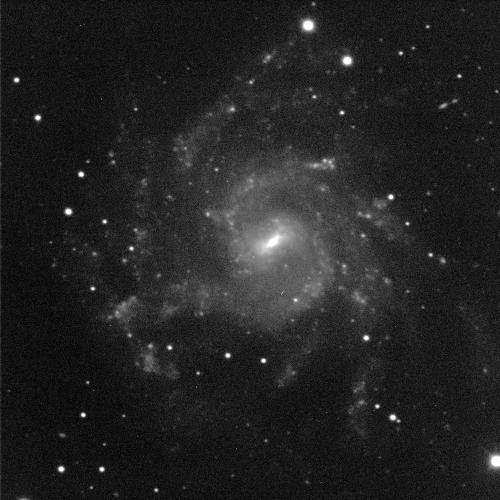 A spiral galaxy angled face-on against a black background with white dots of stars. The galaxy has a small, oval, bright, white centre and dusty grey spiral arms sweeping around it.