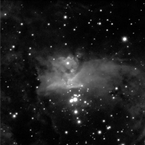 A nebula in various shades of grey against a black background with some white dots of stars scattered around. A few shine brightly inside the nebula as well. The cloudy nebula is lightest grey in the middle, and mostly extends horizontally across the image, with the clouds becoming darker there.