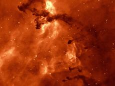 Rosette Nebula by Charlie from St George's School